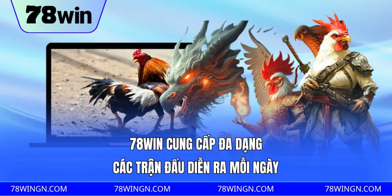 78WIN cung cấp đa dạng các trận đấu diễn ra mỗi ngày 