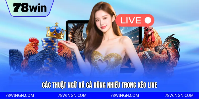 Các thuật ngữ đá gà dùng nhiều trong kèo live