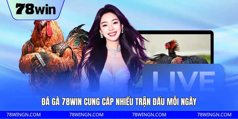 Đá gà 78WIN cung cấp nhiều trận đấu mỗi ngày