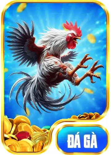 Đá gà 78win