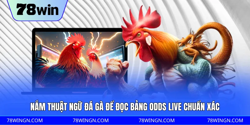 Nắm thuật ngữ đá gà để đọc bảng odds live chuẩn xác