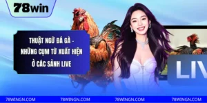 Thuật ngữ đá gà - Những cụm từ xuất hiện ở các sảnh live 
